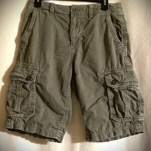 Mens American Eagle Outfitters Cargo Shorts SZ 30 Longer Length Gray